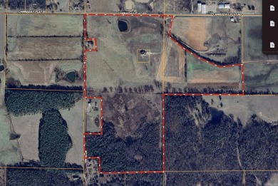 Custom Home on 96 Acres in Hector, Arkansas - Built in 2020