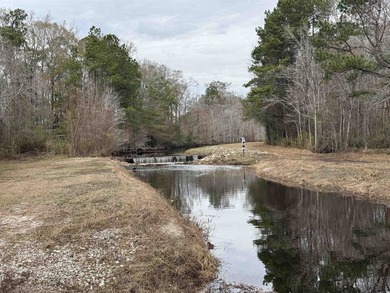 Escape the subdivision and discover a rare opportunity to own - photo 49