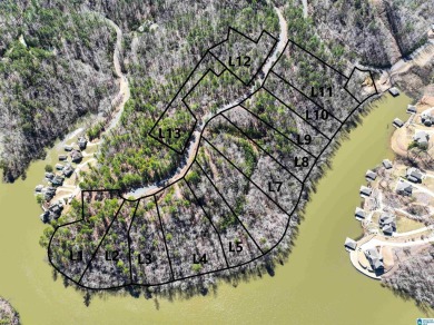 Lake Lot For Sale in Rockford, Alabama