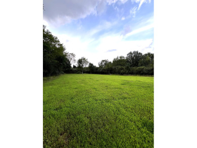 Buildable Lot in Holiday Lakes SOLD - photo 3