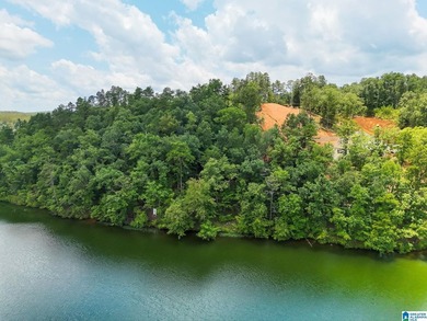 Discover the perfect spot to build your dream home on this - photo 7