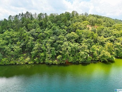 Discover the perfect spot to build your dream home on this - photo 8