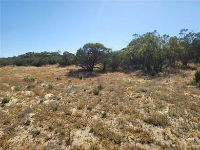 887 Forest Springs Rd - photo 2