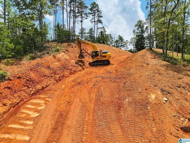 The Loren plan is currently under construction on Lot 7. Current - photo 3