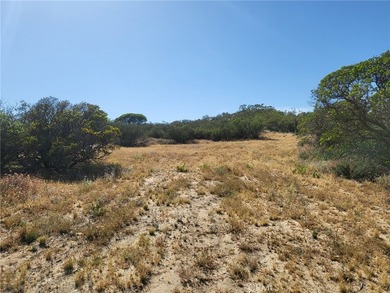887 Forest Springs Rd - photo 3
