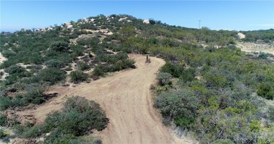 887 Forest Springs Rd - photo 6