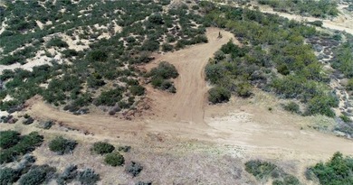 887 Forest Springs Rd - photo 7
