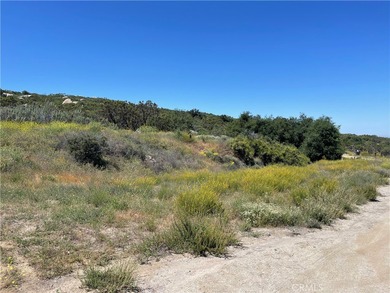 (private lake, pond, creek) Acreage For Sale in Hemet California