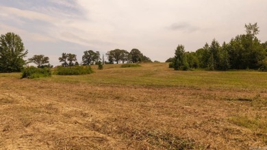 Custom Home on 40 Acres in Hector, Arkansas - Built in 2020