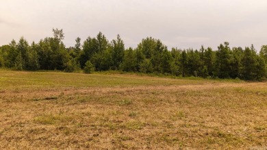 Custom Home on 40 Acres in Hector, Arkansas - Built in 2020