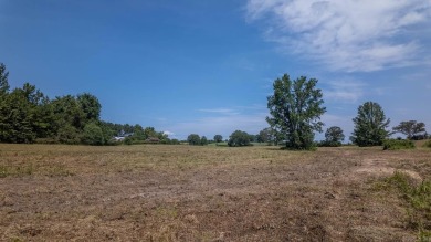 Custom Home on 40 Acres in Hector, Arkansas - Built in 2020