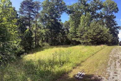 1.6 Acre Lake Cumberland Lake Front Building Lot - photo 4