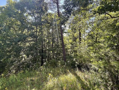 1.6 Acre Lake Cumberland Lake Front Building Lot - photo 7