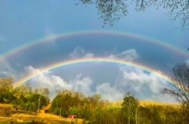 (private lake, pond, creek) Acreage For Sale in Livingston Kentucky