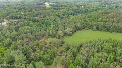 Discover an exceptional 169.9+/- acre tract just minutes from - photo 11