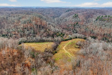 This century farm features a mix of open and wooded acreage with - photo 11