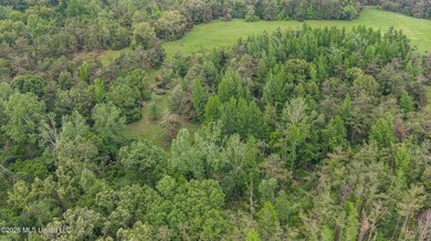 Discover an exceptional 169.9+/- acre tract just minutes from - photo 12