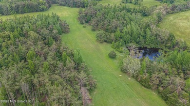 Discover an exceptional 169.9+/- acre tract just minutes from - photo 13