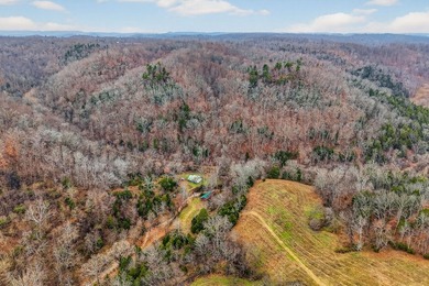 This century farm features a mix of open and wooded acreage with - photo 13