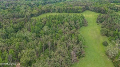 Discover an exceptional 169.9+/- acre tract just minutes from - photo 14