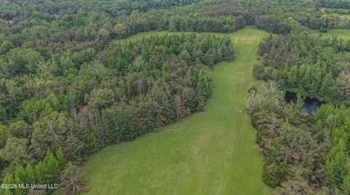 Discover an exceptional 169.9+/- acre tract just minutes from - photo 15