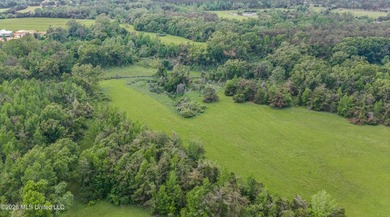 Discover an exceptional 169.9+/- acre tract just minutes from - photo 17