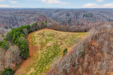 This century farm features a mix of open and wooded acreage with - photo 17