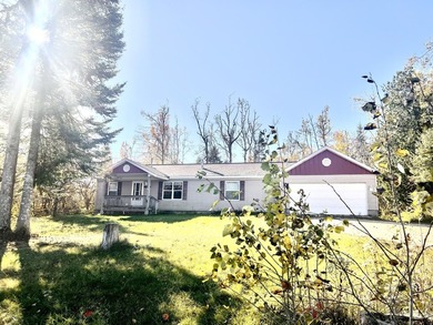 Gorgeous view across the street of Lake Huron from this - photo 1