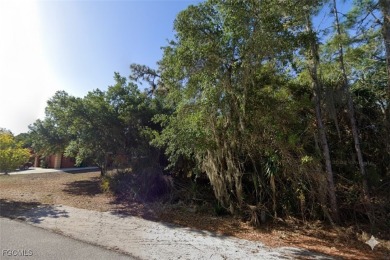 Port Charlotte Waterway Lakes Area Lot For Sale in Port Charlotte Florida