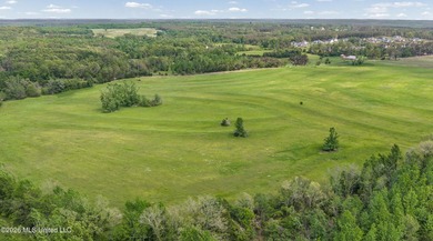 Discover an exceptional 169.9+/- acre tract just minutes from - photo 21