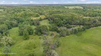 Discover an exceptional 169.9+/- acre tract just minutes from - photo 22