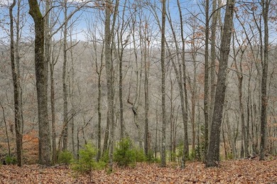 This century farm features a mix of open and wooded acreage with - photo 22