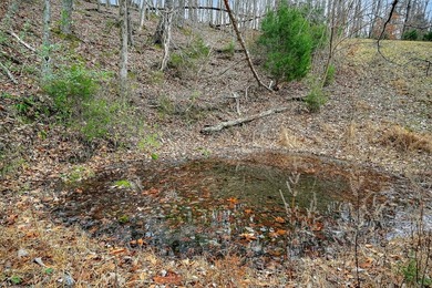 This century farm features a mix of open and wooded acreage with - photo 23