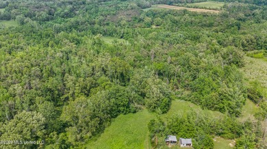 Discover an exceptional 169.9+/- acre tract just minutes from - photo 24