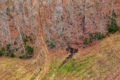 This century farm features a mix of open and wooded acreage with - photo 25