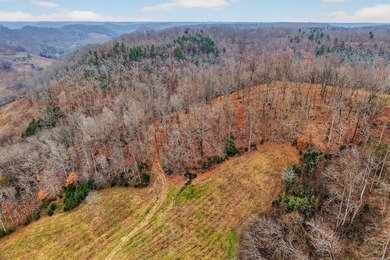 This century farm features a mix of open and wooded acreage with - photo 26