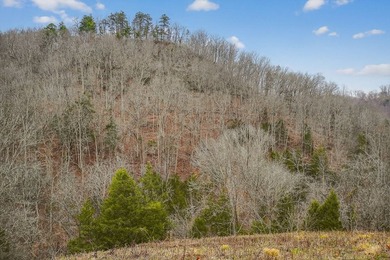 This century farm features a mix of open and wooded acreage with - photo 27