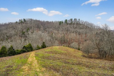 This century farm features a mix of open and wooded acreage with - photo 28