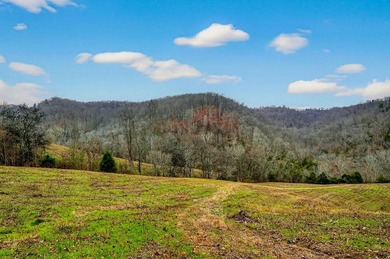 This century farm features a mix of open and wooded acreage with - photo 29