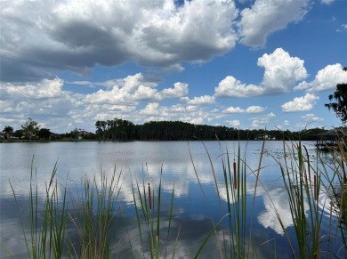 Lake Acreage For Sale in Odessa, Florida