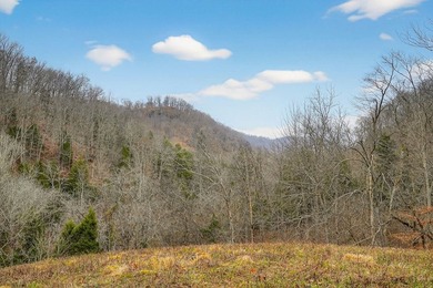 This century farm features a mix of open and wooded acreage with - photo 31