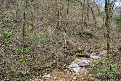 This century farm features a mix of open and wooded acreage with - photo 32