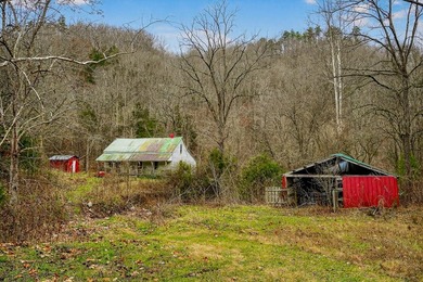 This century farm features a mix of open and wooded acreage with - photo 33