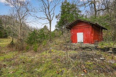 This century farm features a mix of open and wooded acreage with - photo 36