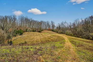 This century farm features a mix of open and wooded acreage with - photo 37
