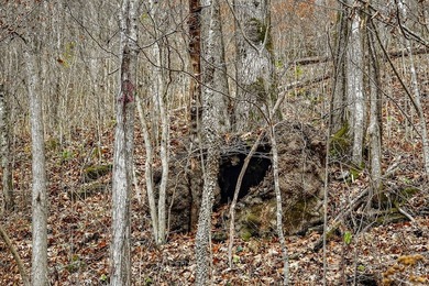 This century farm features a mix of open and wooded acreage with - photo 38