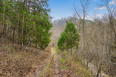 This century farm features a mix of open and wooded acreage with - photo 39