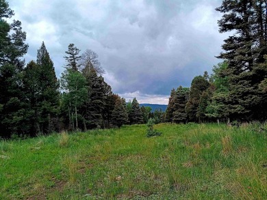 Monte Verde Lake Lot For Sale in Angel Fire New Mexico