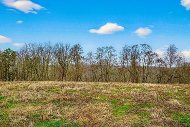 This century farm features a mix of open and wooded acreage with - photo 41