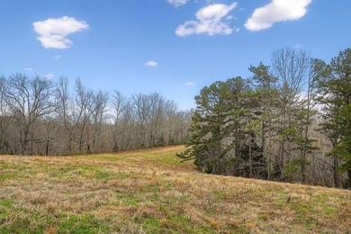 This century farm features a mix of open and wooded acreage with - photo 42